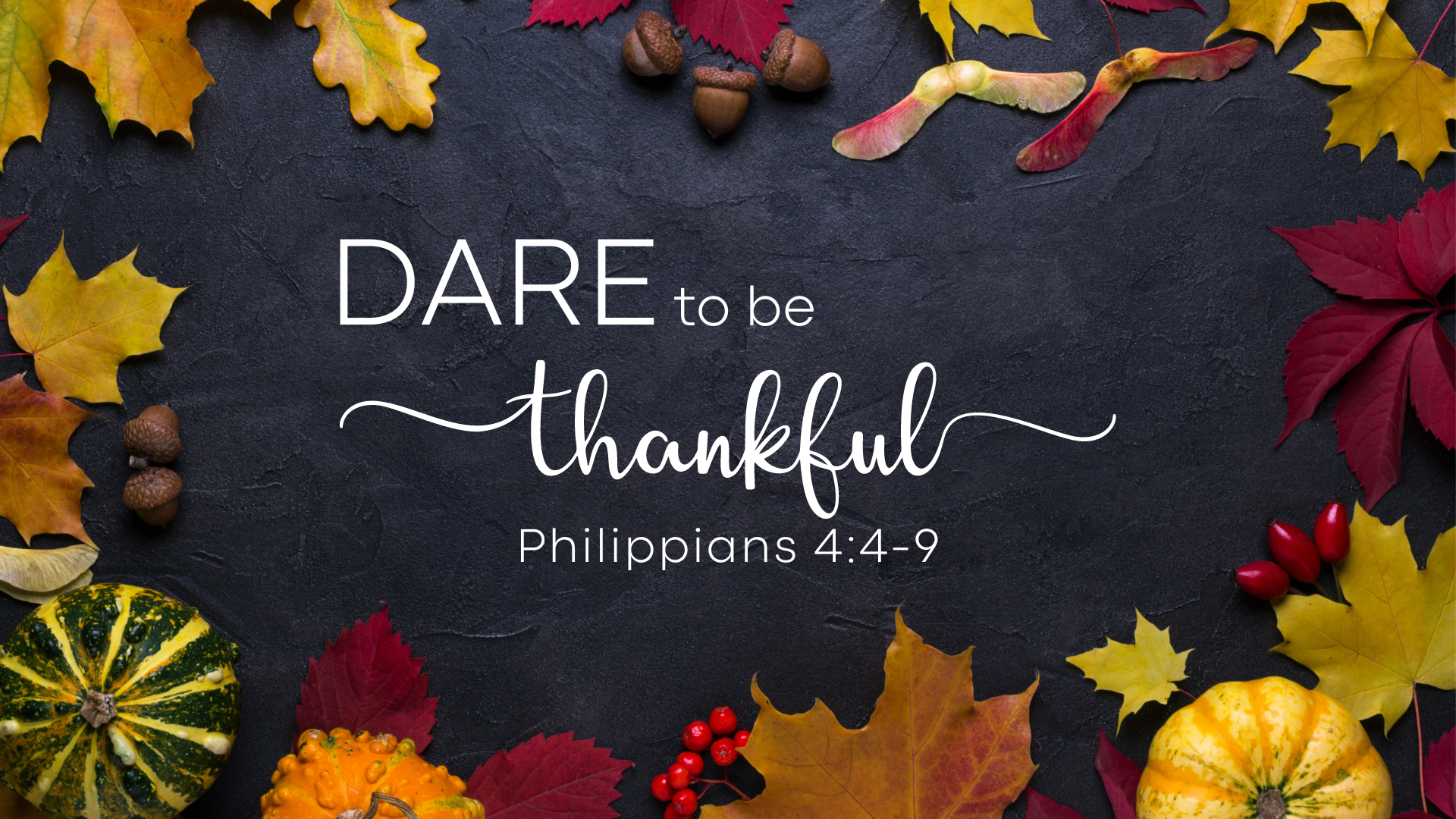 Dare to Be Thankful