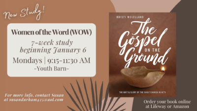 Women of the Word (WOW) New Bible Study