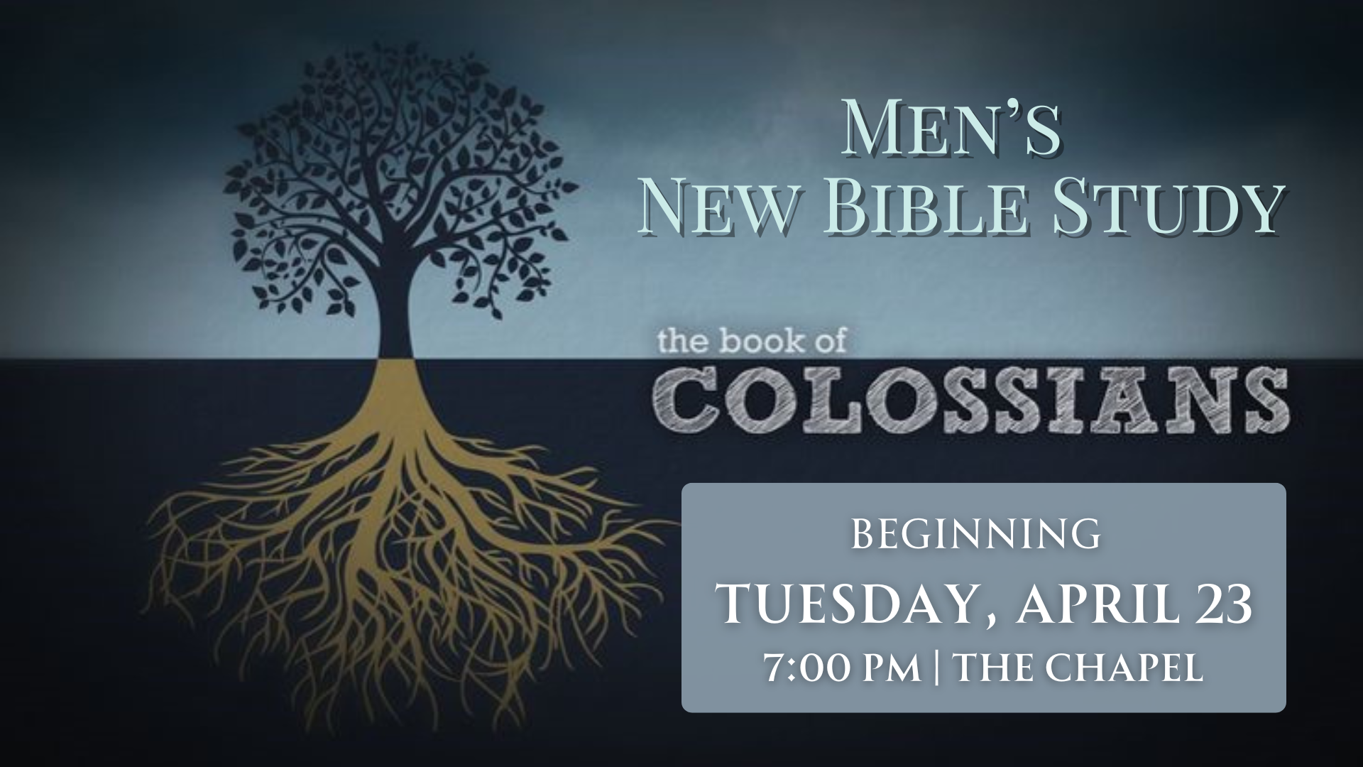 Men’s Bible Study- The Book of Colossians