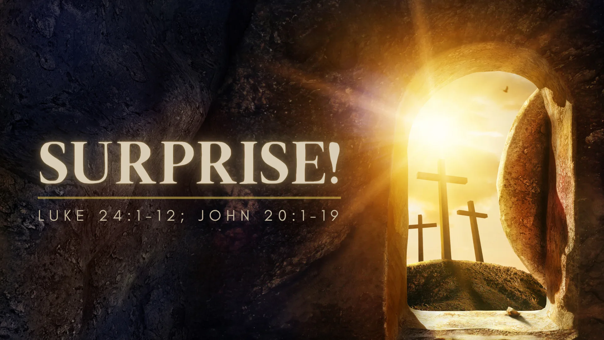 Surprise!