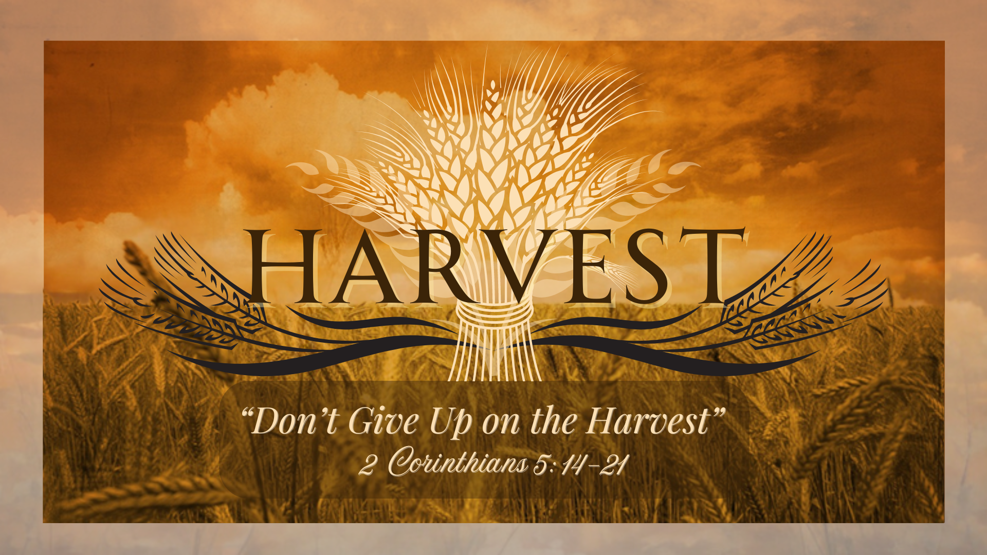 Don’t Give Up on the Harvest